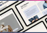 design a squarespace website for pride nonprofts lgbtq activism community